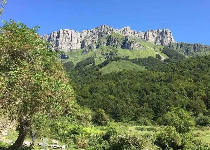 Kemp Cozy Avec Terrasse - 2 - Api-1-52-340 Gurmençon